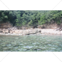 徳島の川の写真