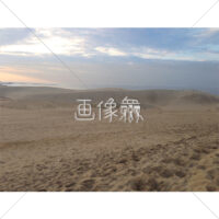 砂丘の(3)写真