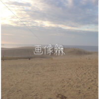 砂丘の(4)写真