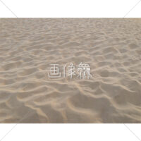 砂丘の(5)写真