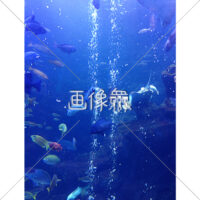 海中の(7)写真