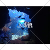 海中の(13)写真