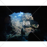 海中の(14)写真