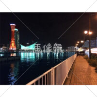 ハーバーランドの夜景の(9)写真