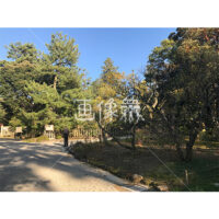 晴天の兼六園の写真素材(2)