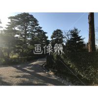 晴天の兼六園の写真素材(3)