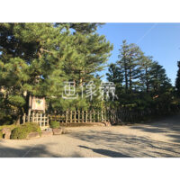 晴天の兼六園の写真素材(4)