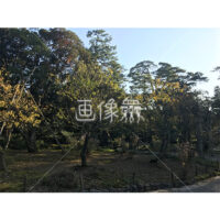 晴天の兼六園の写真素材(5)