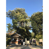 晴天の兼六園の写真素材(6)