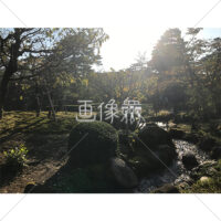 晴天の兼六園の写真素材(9)