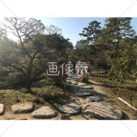 晴天の兼六園の写真素材(11)