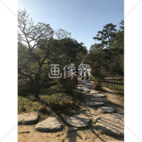 晴天の兼六園の写真素材(12)