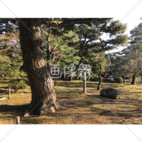 晴天の兼六園の写真素材(14)