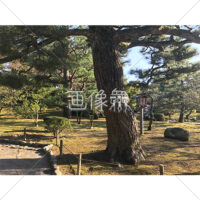 晴天の兼六園の写真素材(15)