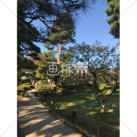 晴天の兼六園の写真素材(16)