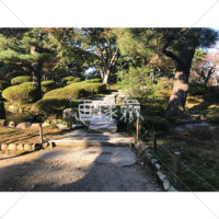 晴天の兼六園の写真素材(17)