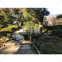 晴天の兼六園の写真素材(18)