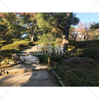 晴天の兼六園の写真素材(19)