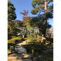 晴天の兼六園の写真素材(20)