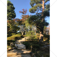 晴天の兼六園の写真素材(21)