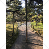 晴天の兼六園の写真素材(22)
