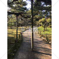 晴天の兼六園の写真素材(23)