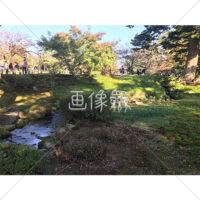 晴天の兼六園の写真素材(26)