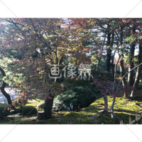 晴天の兼六園の写真素材(27)