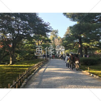 晴天の兼六園の写真素材(28)