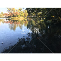 晴天の兼六園の写真素材(35)