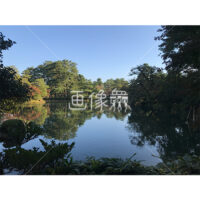 晴天の兼六園の写真素材(36)