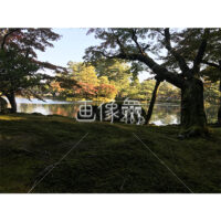 晴天の兼六園の写真素材(37)