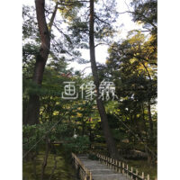 晴天の兼六園の写真素材(40)