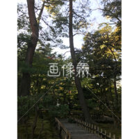 晴天の兼六園の写真素材(41)
