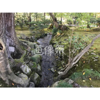 晴天の兼六園の写真素材(42)