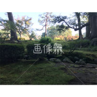 晴天の兼六園の写真素材(43)