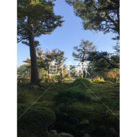 晴天の兼六園の写真素材(44)