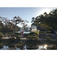 晴天の兼六園の写真素材(45)