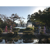 晴天の兼六園の写真素材(46)
