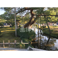 晴天の兼六園の写真素材(48)