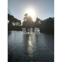 晴天の兼六園の写真素材(49)