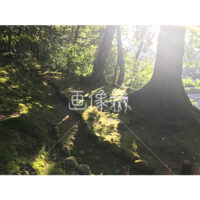 晴天の兼六園の写真素材(51)