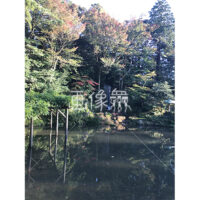 晴天の兼六園の写真素材(52)