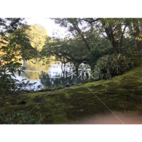 晴天の兼六園の写真素材(53)