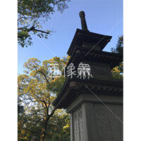 晴天の兼六園の写真素材(54)