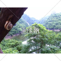 かたつむりが写る山の無料写真(1)