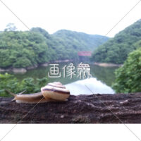 かたつむりが写る山の無料写真(2)