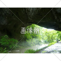 川の横の山道の写真