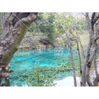 九賽溝の五花海(2)の写真