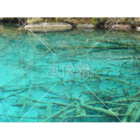 九賽溝の五花海(3)の写真